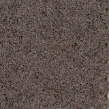 blazer-1883.jpg